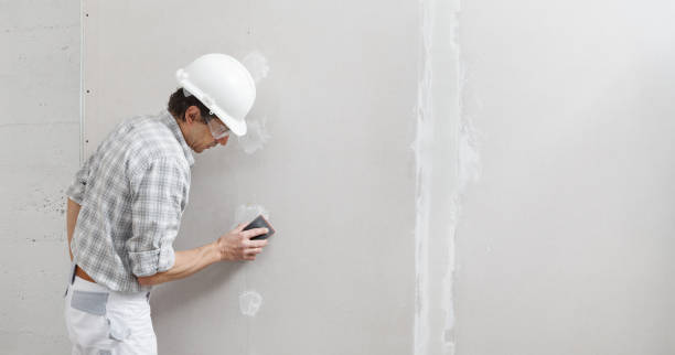 Best Attic Mold Removal  in Bladensburg, MD