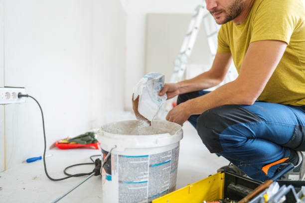 Best Basement Mold Removal  in Bladensburg, MD