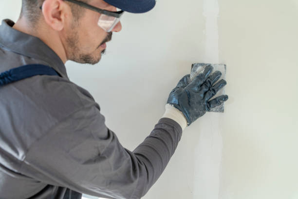 Best Asbestos and Lead Testing During Mold Inspection  in Bladensburg, MD