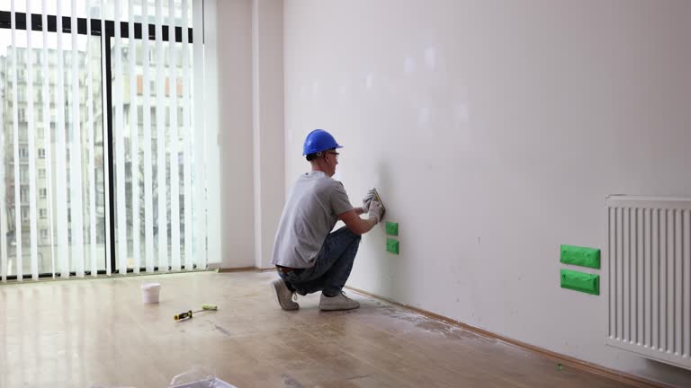 Professional Mold Removal in Bladensburg, MD