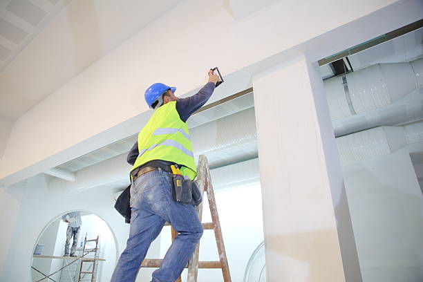 Best Environmental Consulting for Mold Prevention  in Bladensburg, MD