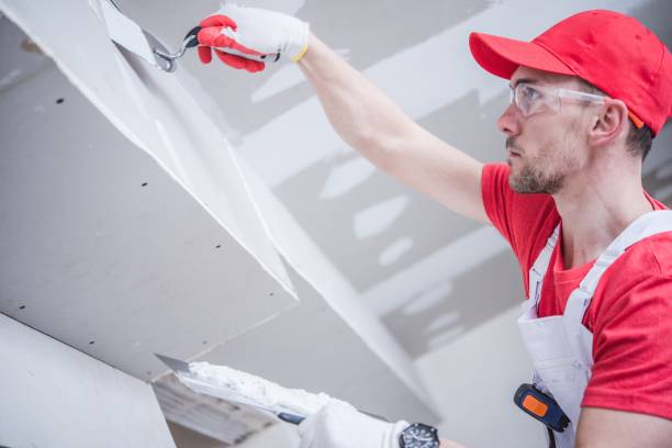 Best Airborne Mold Testing  in Bladensburg, MD